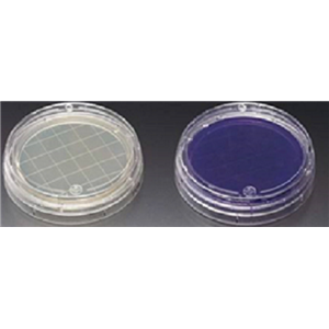 KP-N-NS细胞专用培养基