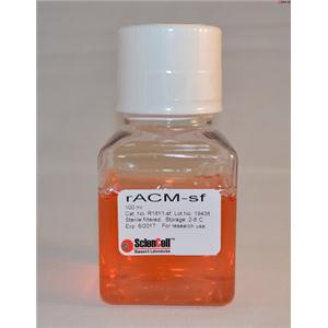 大鼠星形胶质细胞条件培养基-无血清RACM-SF
