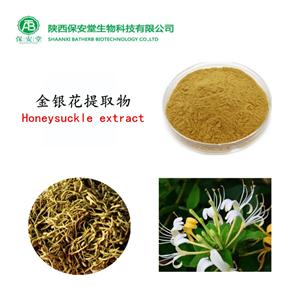 现货供应定制多规格金银花提取物金银花粉绿原酸