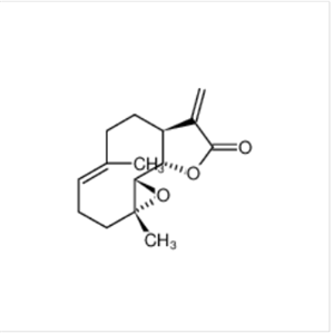 小白菊内酯