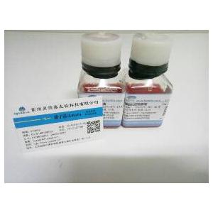 类标准胎牛血清