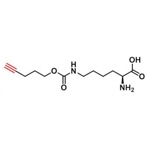 N-戊炔氧羰基]-赖氨酸，N-Pentyn1yloxycarbonyl]-L-lysine