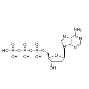 2'-脱氧腺苷 5'-三磷酸酯