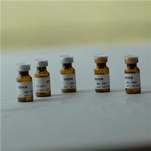 槲皮黄素（CYP2C8）