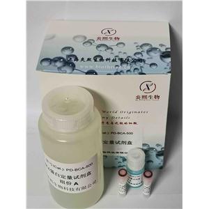 BCA蛋白定量试剂盒