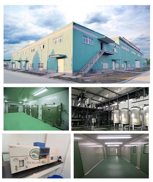 Supply Natural Indian Ginseng  Withania Somnifera  Withanolides Powder  Ashwagandha Extract Powder