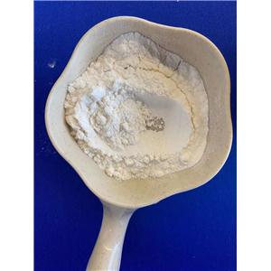 烟酰胺腺嘌呤双核苷酸