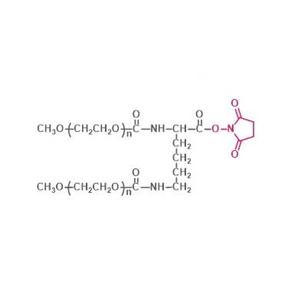 两臂聚乙二醇琥珀酰亚胺羧酸酯,2-arm PEG-NHS