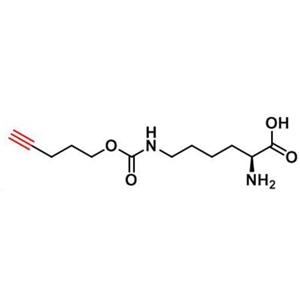 Nε-pent-4-ynyloxy-carbonyl-L-Lysine