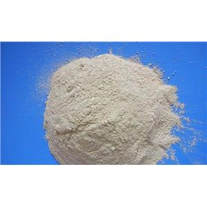 3,4-二羟基苯丙酸