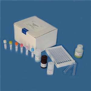 大鼠孕酮（PROG)elisa试剂盒