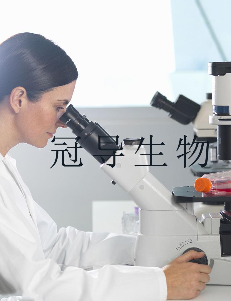 产品(12).jpg 产品(12).jpg