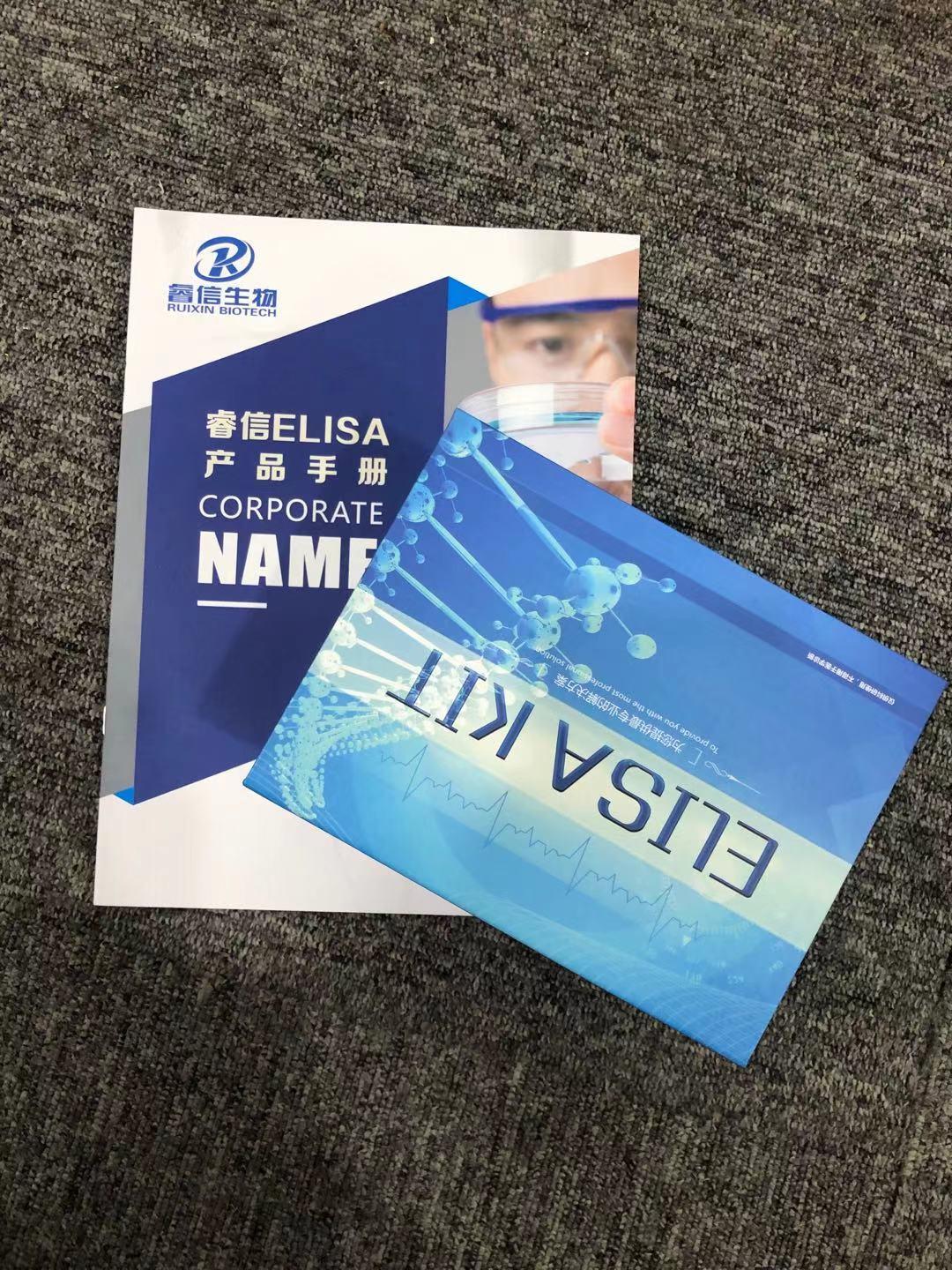 13b76188ecbe6e876cfe761a3b73965 - 副本.jpg 13b76188ecbe6e876cfe761a3b73965 - 副本.jpg