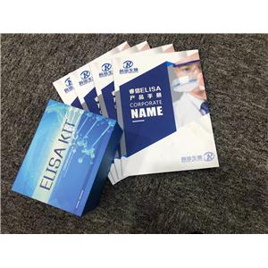 大鼠胰岛素样生长因子（IGF）ELISA试剂盒