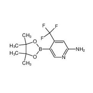 2-氨基-4-三氟甲基-5-吡啶硼酸哪醇酯