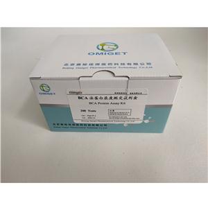 BCA法蛋白浓度测定试剂盒