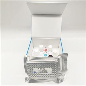 人肾透明细胞腺癌细胞