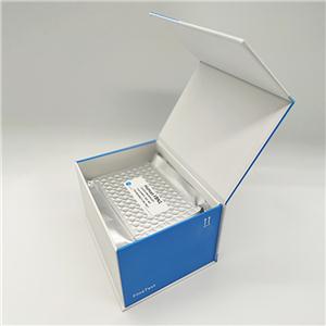 人甲状腺癌细胞