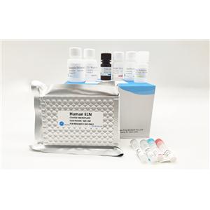 人肺巨细胞癌细胞（低转移）