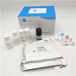 小鼠正常肝细胞