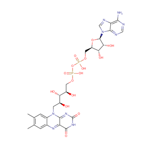 腺嘌呤黄素二核苷酸