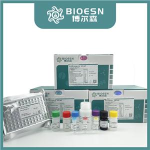 human白介素2(IL2) ELISA Kit