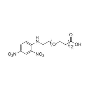 2,4-二硝基苯胺-十二聚乙二醇-丙酸