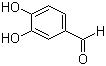 CAS 登录号：139-85-5, 3,4-二羟基苯甲醛