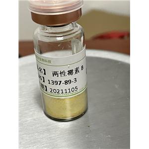 1397-89-3两性霉素B化学试剂精细化工原料工厂出口标准