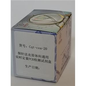 探针法衣原体科通用实时定量PCR检测试剂盒