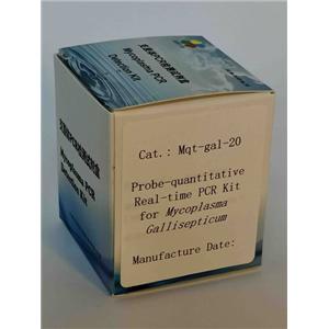探针法鸡毒支原体实时定量PCR试剂盒