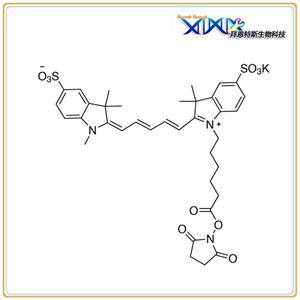 Sulfo-Cy5 NHS Methyl type| Lumiprobe 同款
