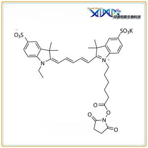 ulfo-Cy5 NHS Methyl type