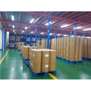 吡罗昔康倍他环糊精