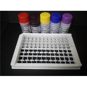小鼠降钙素原(PCT)Elisa试剂盒