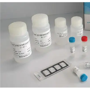 红霉素-N-脱甲基酶(ERND)比色法测试盒