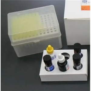 NADPH细胞色素C还原酶(NCR)比色法测试盒