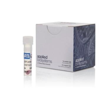 百合LAMP鉴定试剂盒