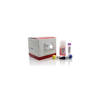 人3-磷酸甘油醛脱氢酶(G3PDH)Elisa试剂盒