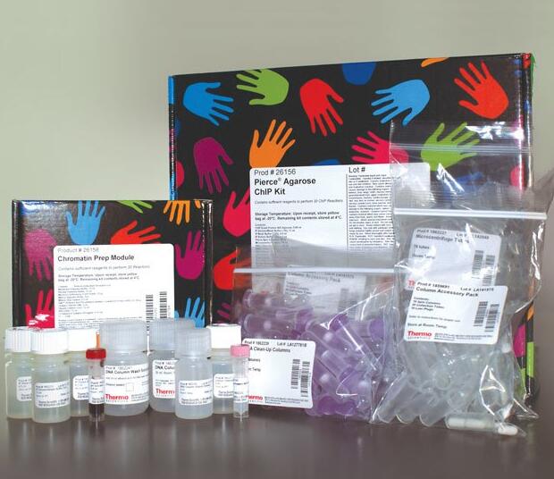 枳实染料法PCR鉴定试剂盒