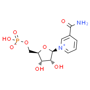 β-烟酰胺单核苷酸；NMN；