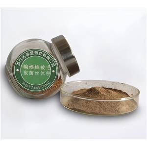 蝙蝠蛾被毛孢菌丝体粉（发酵冬虫夏草菌丝体粉）