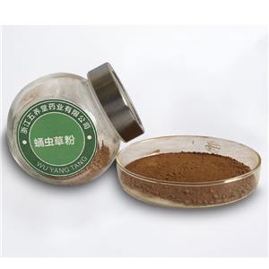蛹虫草粉