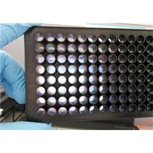 酶标仪用96孔黑色底部透光酶标板 全黑平底透明细胞培养板