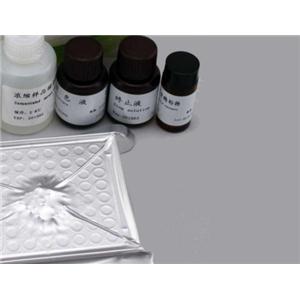 小鼠角化细胞内分泌因子(KAF)Elisa试剂盒/双调蛋白(AR)Elisa试剂盒