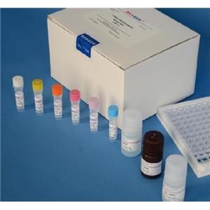鱼皮质醇(Cortisol)Elisa试剂盒