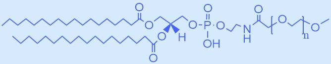 二硬脂酰基磷脂酰乙醇胺-甲氧基聚乙二醇.jpg