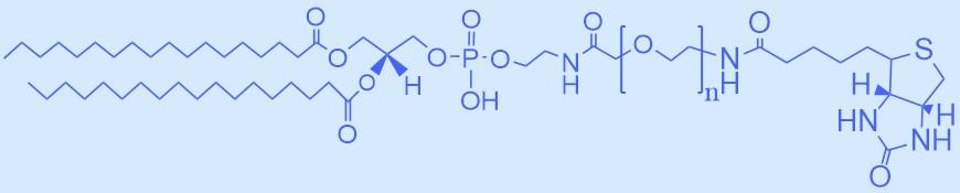 二硬脂酰基磷脂酰乙醇胺-聚乙二醇-生物素.jpg