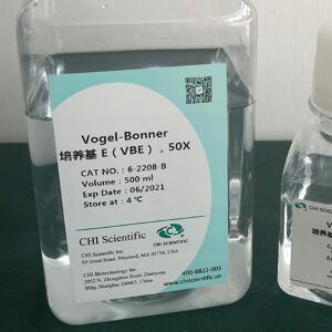 Vogel-Bonner 培养基 E（VBE）