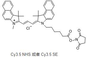 Cyanine3.5 NHS ester,Cy3.5 NHS ester ,cas:2231670-85-0